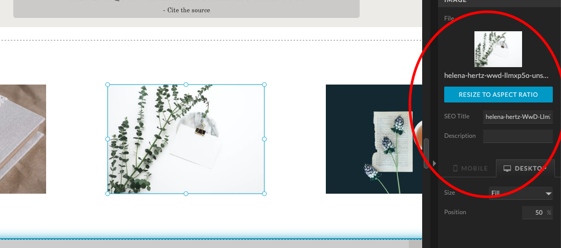 How to update image titles on Showit
